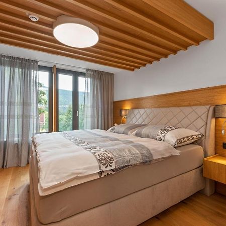 Residence Koubek - Utulny Apartman S Vyhledem A Parkovanim Szpindlerowy Młyn Zewnętrze zdjęcie